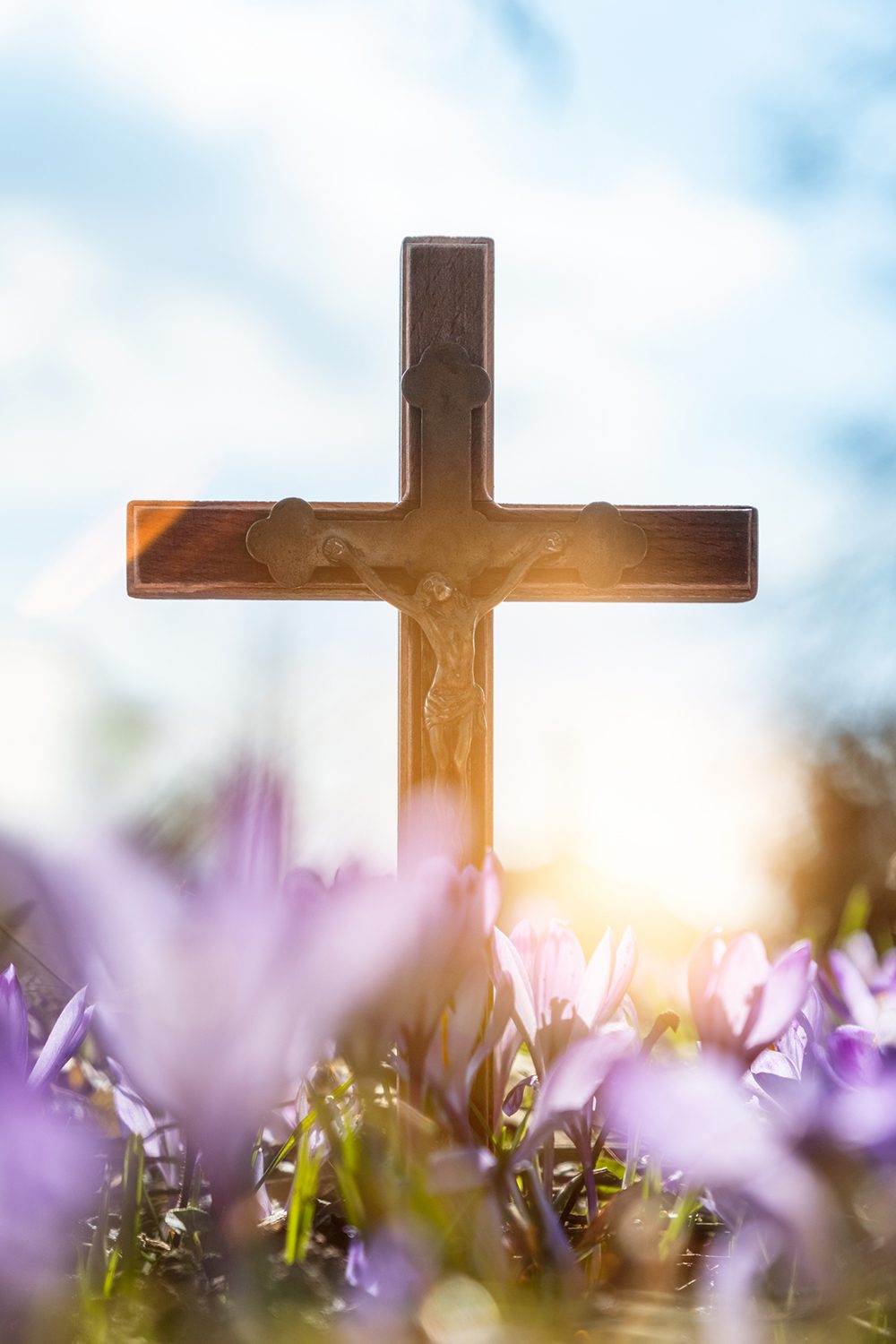 Sunlit cross among blossoms